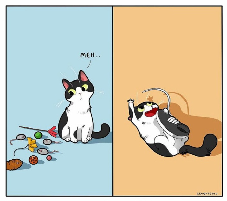 Humorous Cat Comics, playing