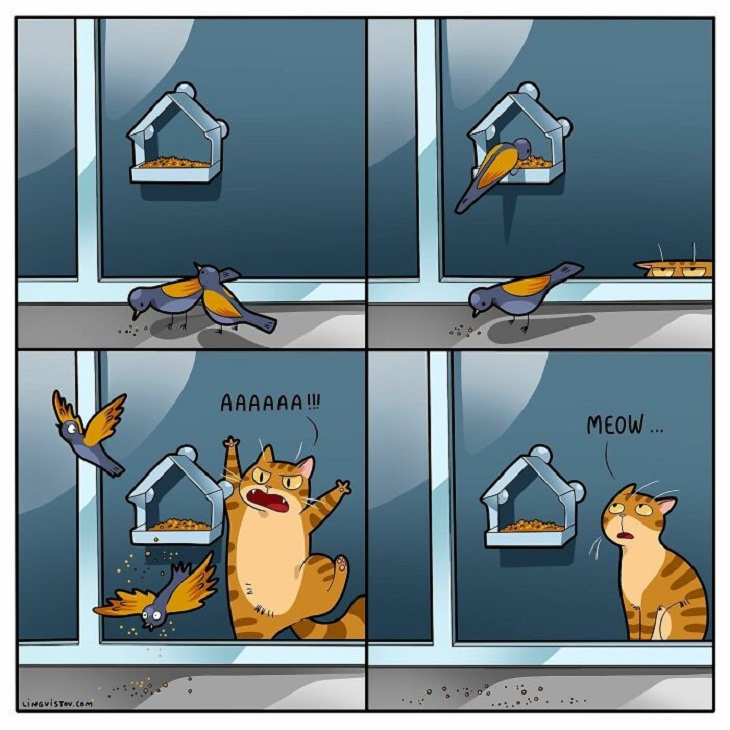 Humorous Cat Comics, birds