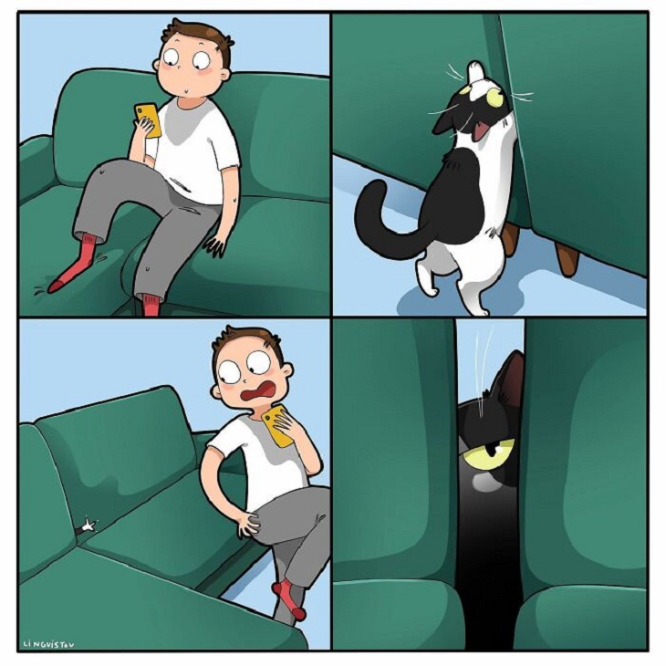 Humorous Cat Comics, scare