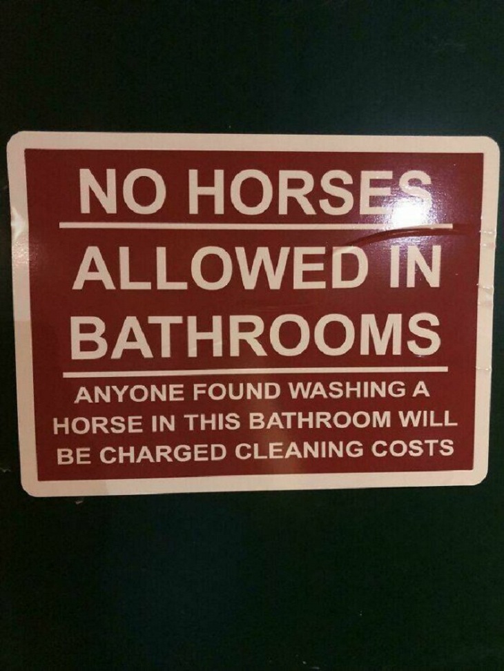 Wackiest Rules, horses