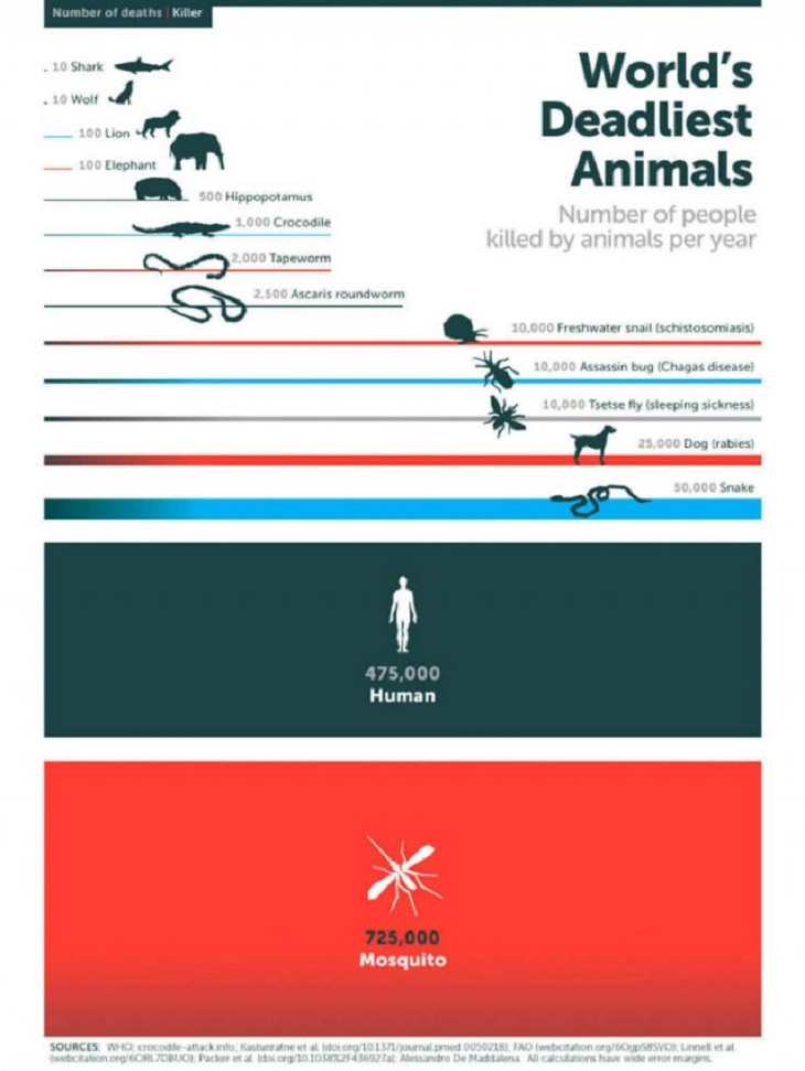 Useful charts, deadly animals