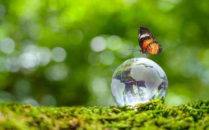 Which planet matches your personality: A butterfly on a glass earth