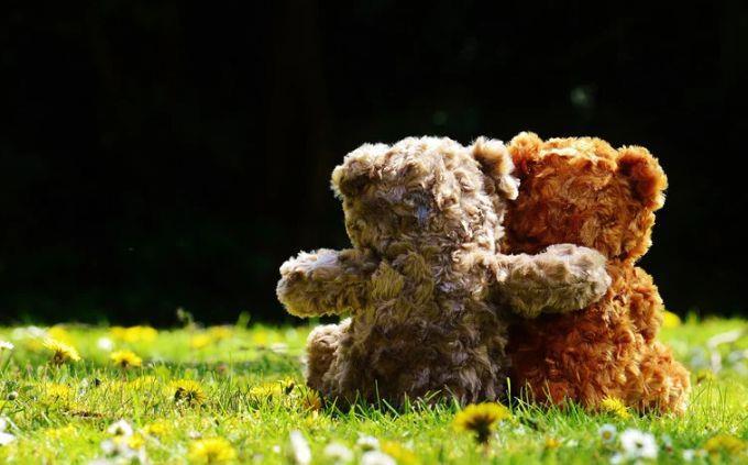 Which planet matches your personality: Cuddly teddy bears