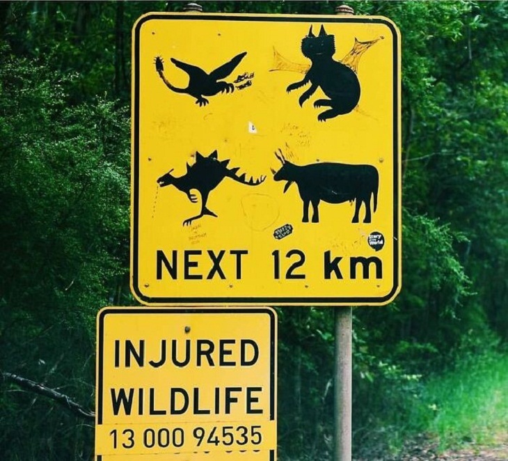 Street Signs, animals