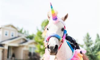 Which planet matches your personality: Unicorn