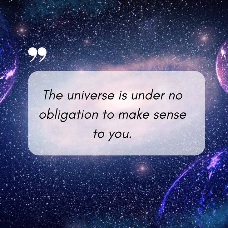 Neil deGrasse Tyson Quotes, universe