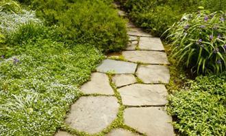 What kind of garden is hiding in your soul: a natural stone path