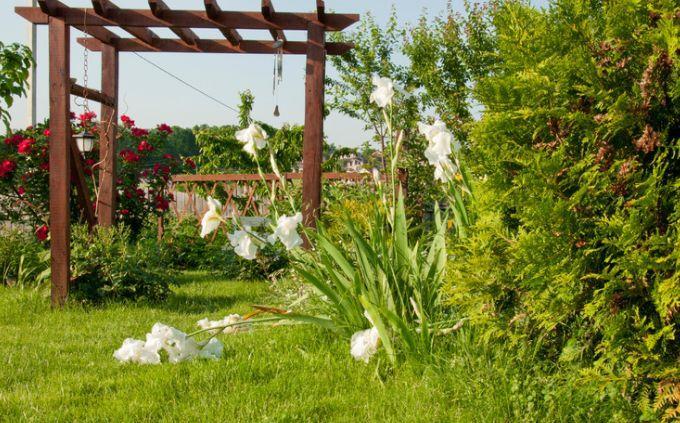 What garden is hiding in your soul: a pergola in the garden