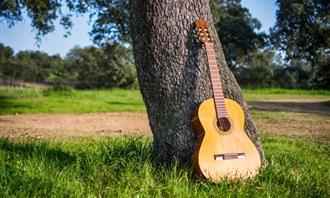 What garden is hiding in your soul: a guitar on a tree trunk