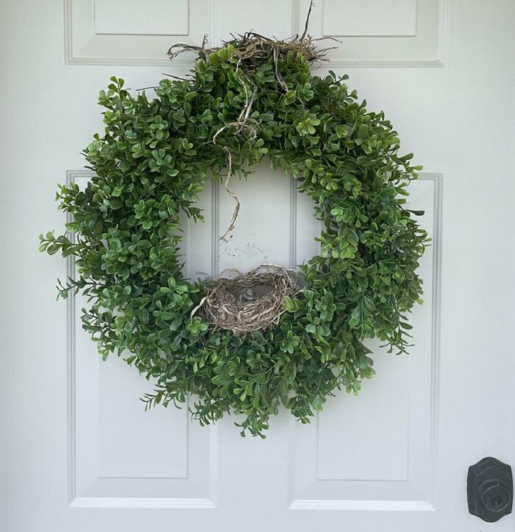 Bird Nests, wreath