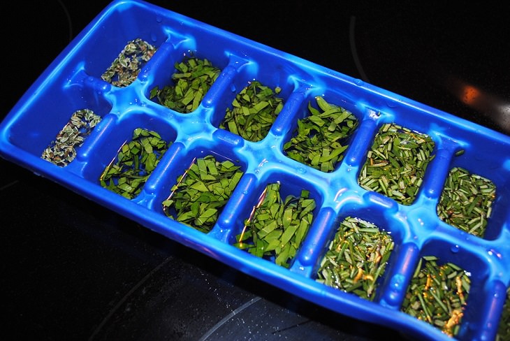 4 Proven Ways to Keep Your Herbs Fresh