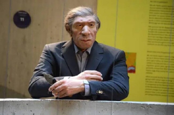 Coisas legais e interessantes, Neanderthal 
