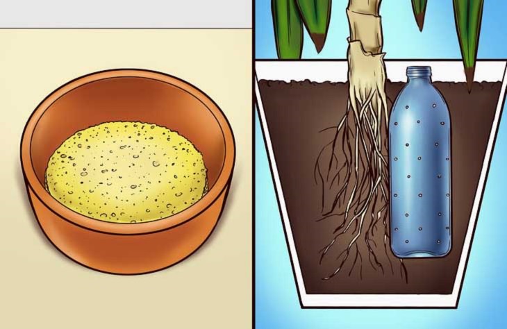 סימנים למחלות אצל צמחים: קערה ובה אדמה, ועציץ שרואים את חלקו התחתון, ובו יש בקבוק מים מחורר