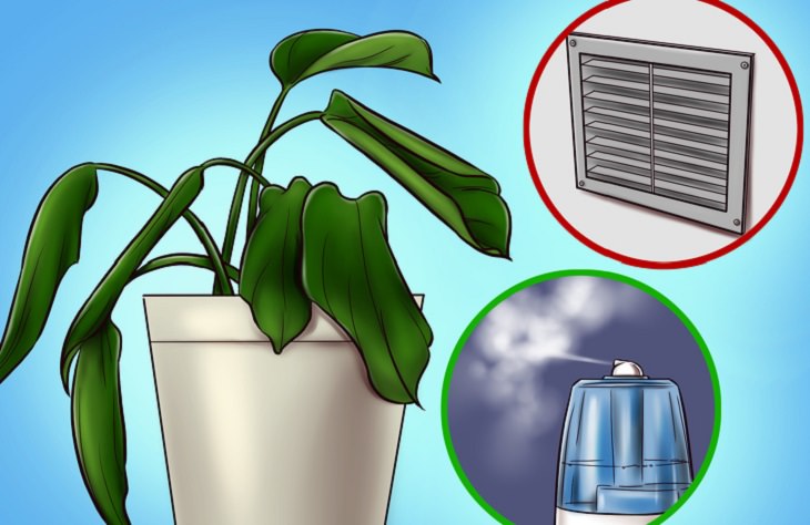 סימנים למחלות אצל צמחים: עציץ עם עלים מעוקלים, ושני עיגולים שבהם פתח אוורור ותרסיס