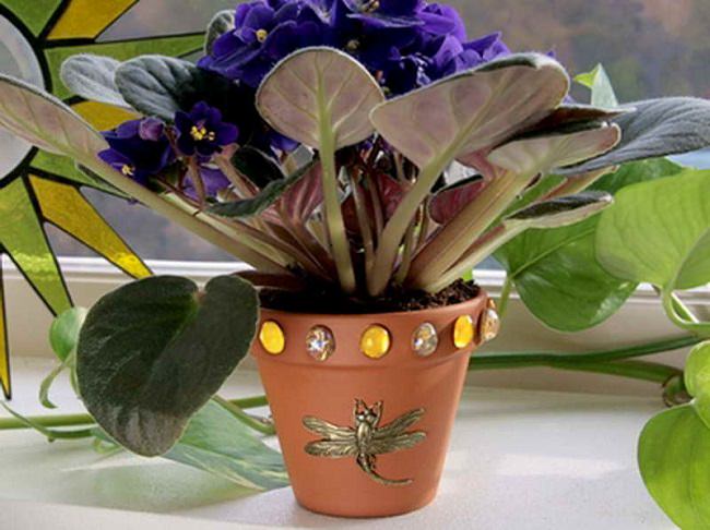 potted plant decoration