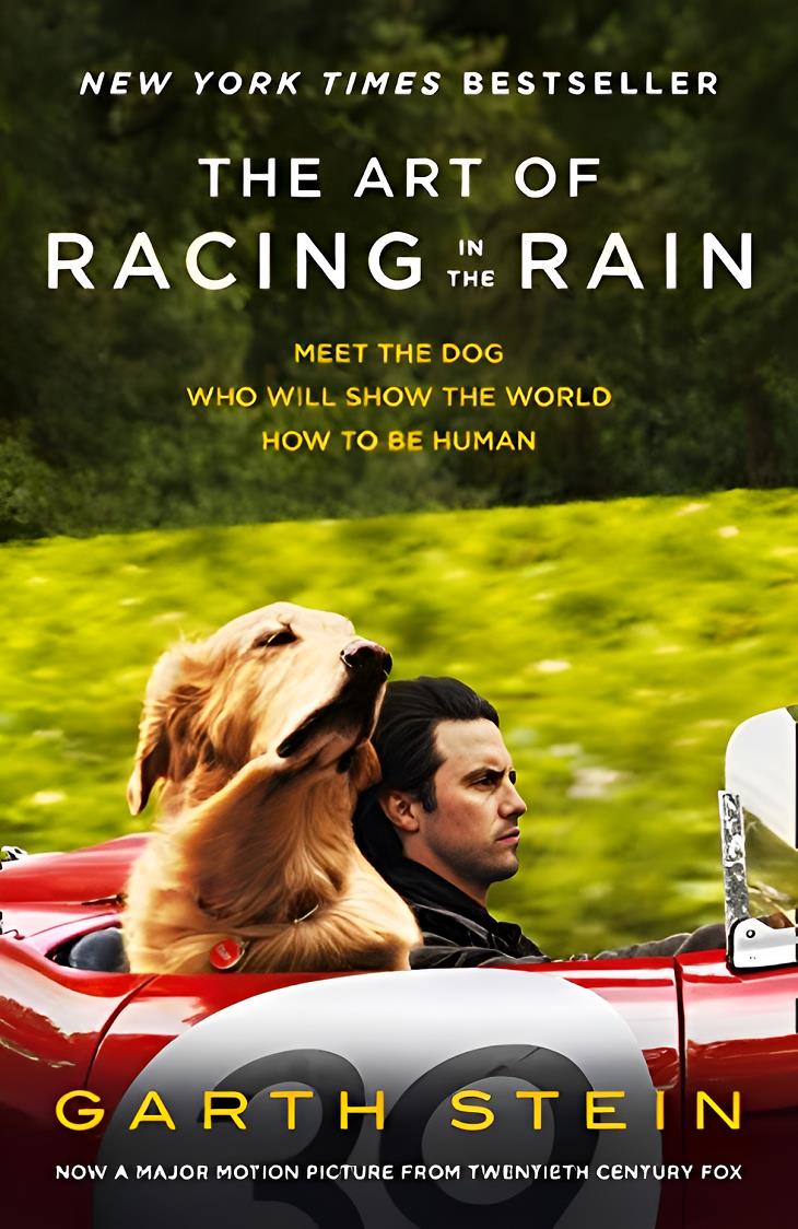 Best Books for Dog Lovers, The Art of Racing in the Rain 