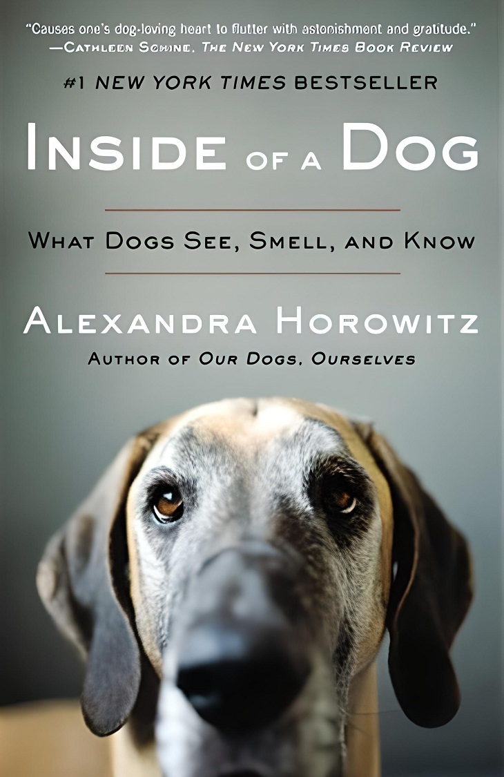 Best Books for Dog Lovers, Inside of a Dog