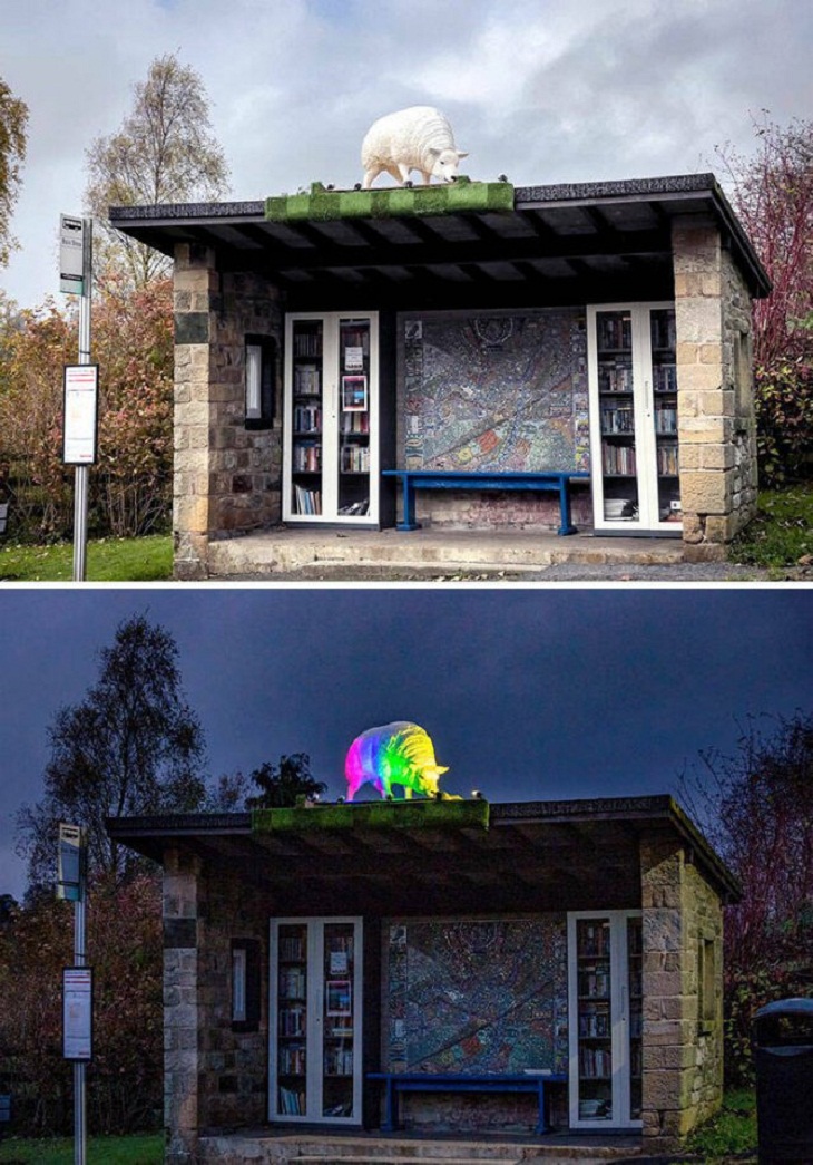 Unusual Bus Stops, sheep 