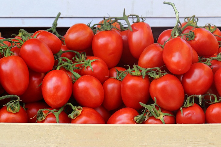 Types of Tomatoes, Plum tomatoes