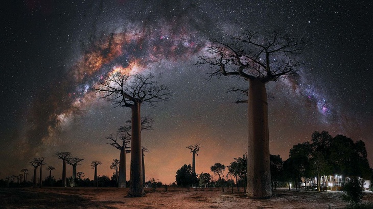 Milky Way Photographer of the Year 2023, Baobab Trees