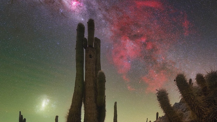 Milky Way Photographer of the Year 2023,  Cactus Valley