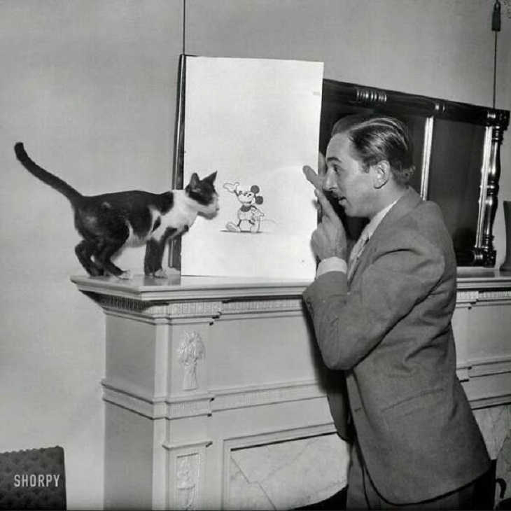 Rare Historical Photographs, Walt Disney