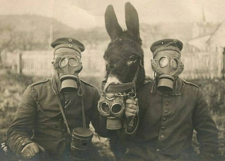 Rare Historical Photographs, German soldiers