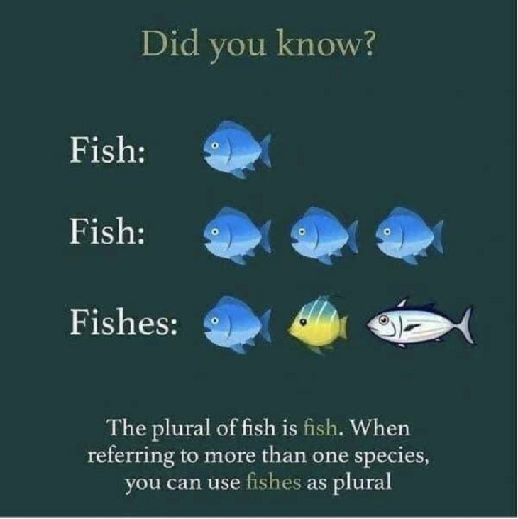 Useful Charts & Guides, fish