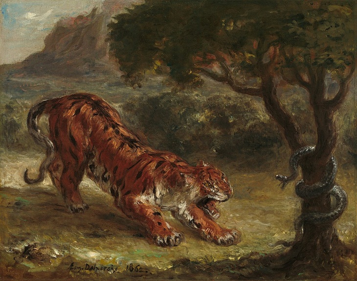 Tiger Paintings, Tiger and Snake