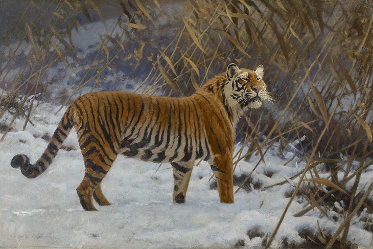 Tiger Paintings, A Tiger Prowling in the Snow