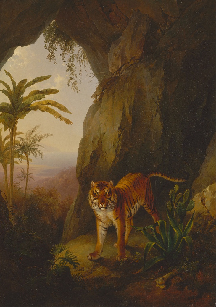Tiger Paintings, Tiger in a Cave