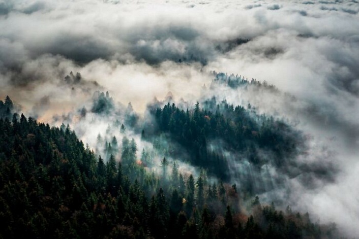 Slovakia Nature, Misty Morning 