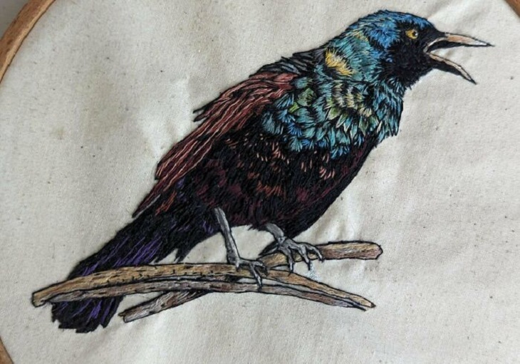 Embroidery Works, Grackle 
