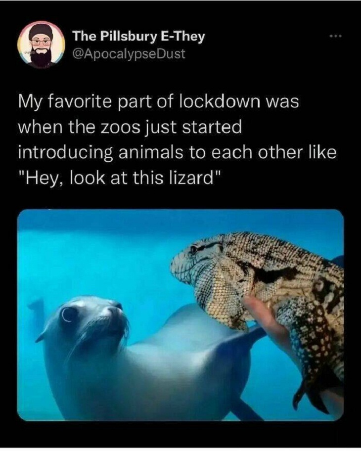 Animal Memes, zoo