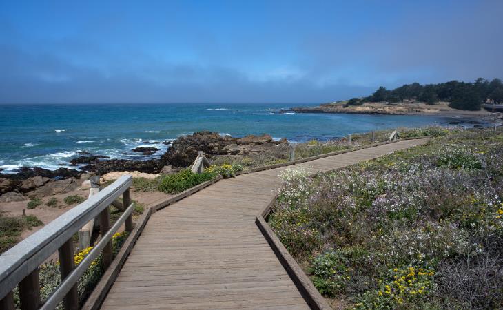 Affordable Beach Vacations, Cambria