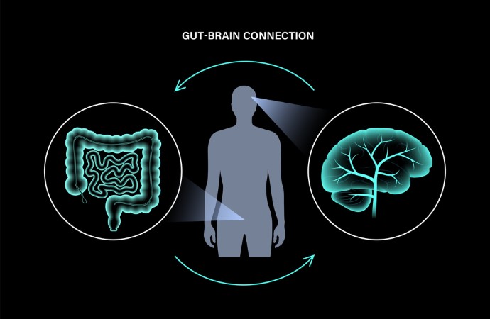 mind-gut connection