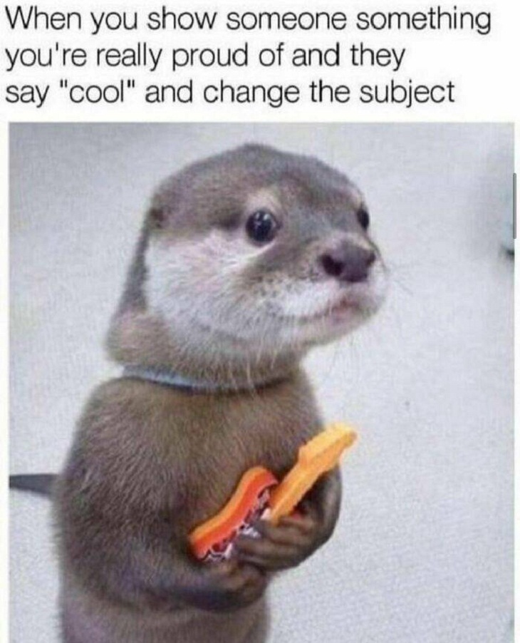 Animal Memes, otter