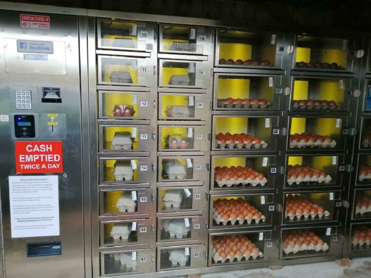 Life in the UK, egg vending machine