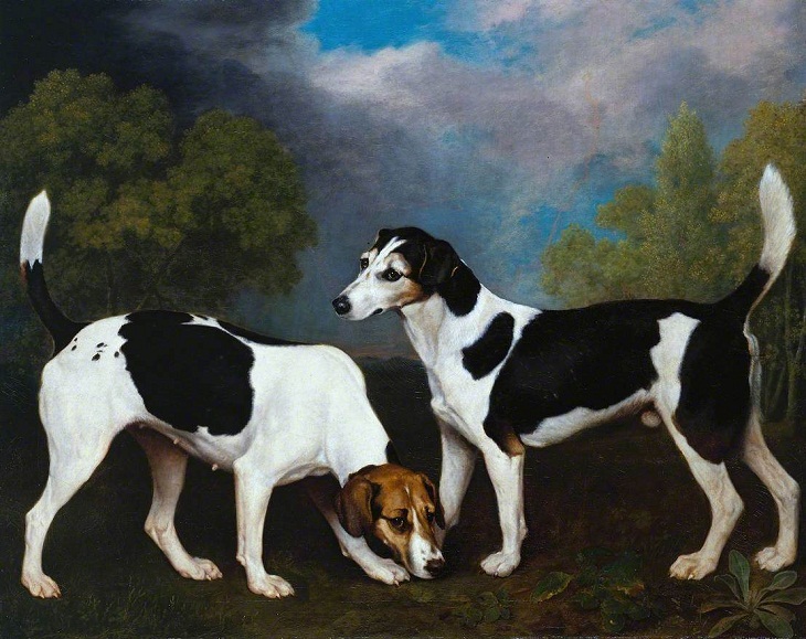 Famous Dog Paintings, A Couple of Foxhounds