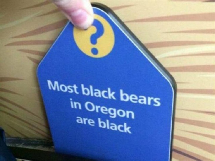  Hilarious signs, bears