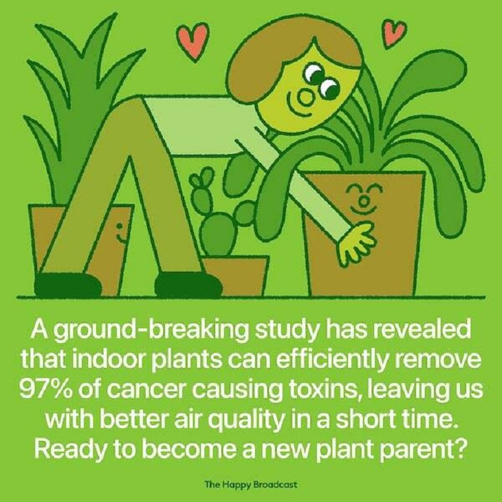 Positive News, indoor plants