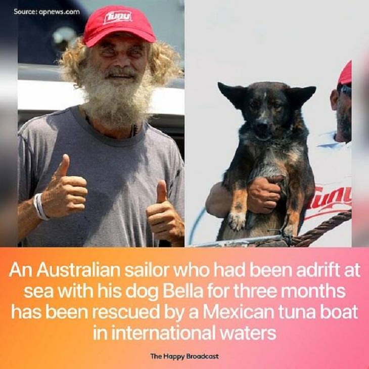 Positive News, sailor and dog