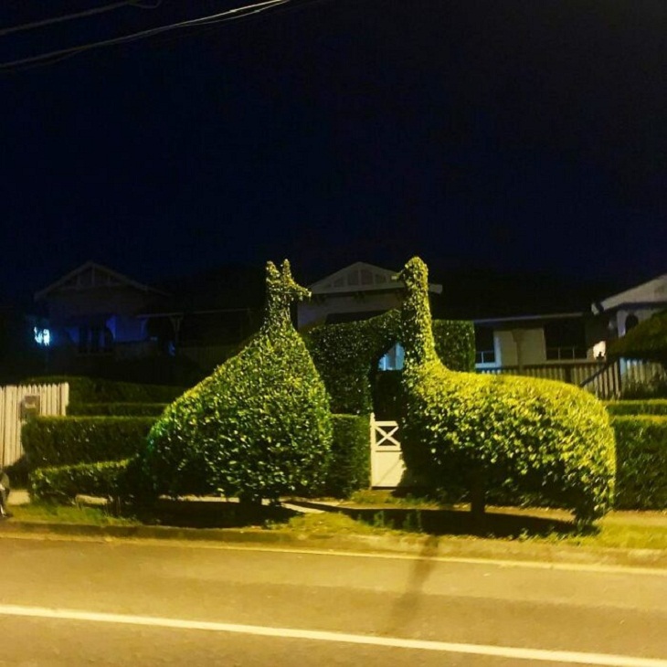  Quirky Garden Designs, animal shapes