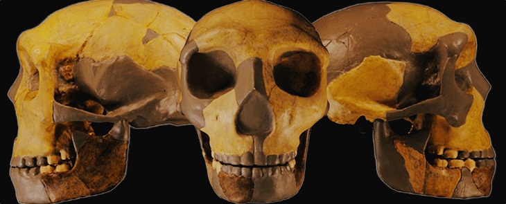 Ancient Skull, 