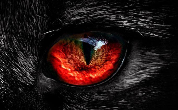 Animal Abilities Trivia: Red Eye