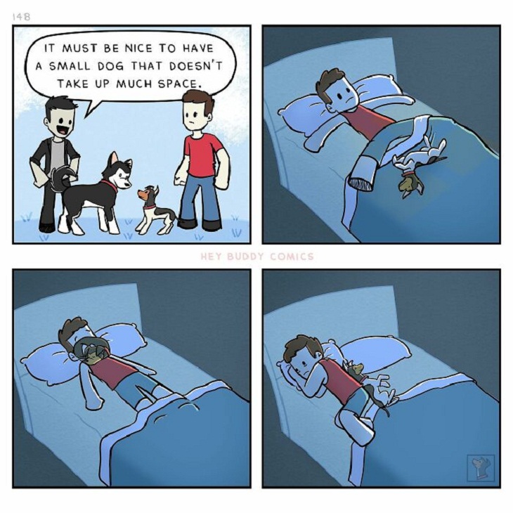 Dog Comics, sleeping