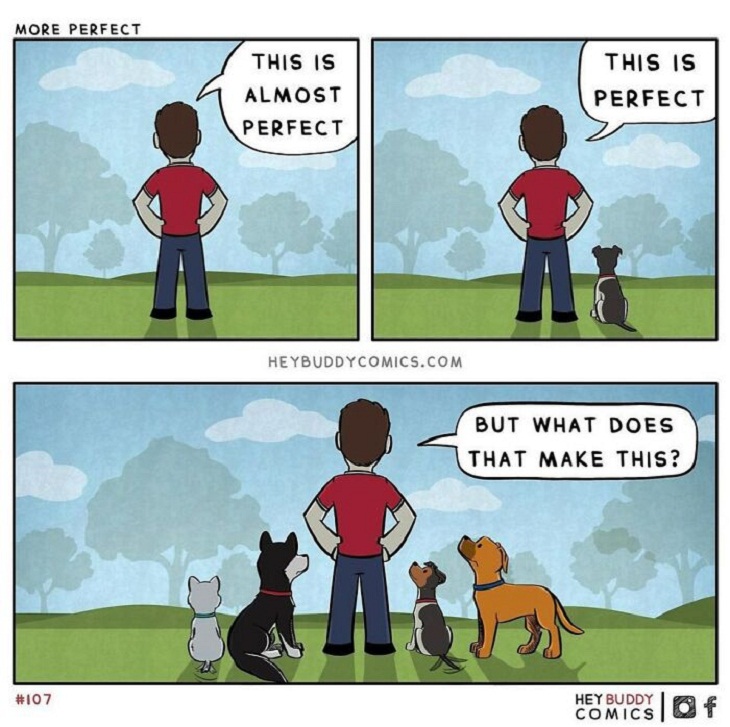 Dog Comics, dog owner