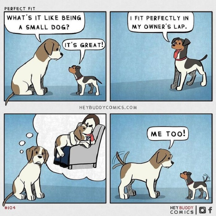 Dog Comics, small dog