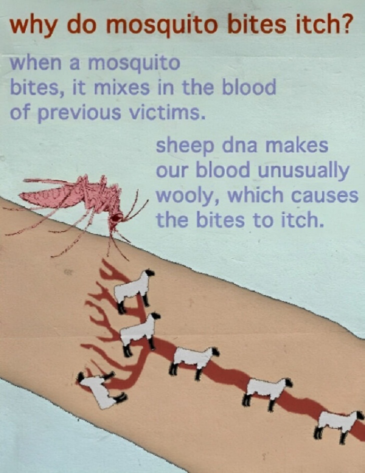  Funny ‘Science Facts', mosquitio
