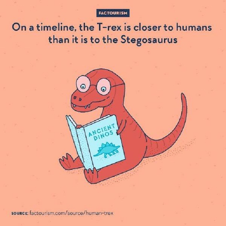 Illustrated Facts, t-rex